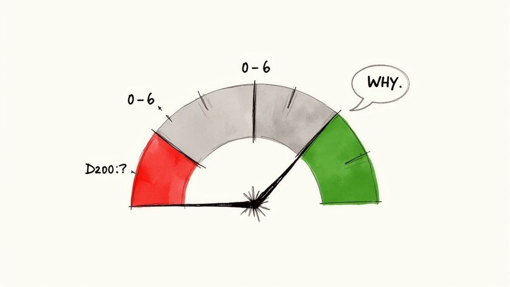 Net Promoter Score (NPS)