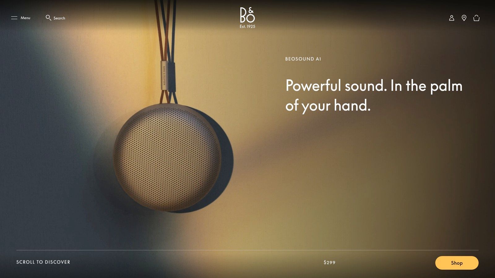 Bang & Olufsen Beosound A1 (2nd Gen)