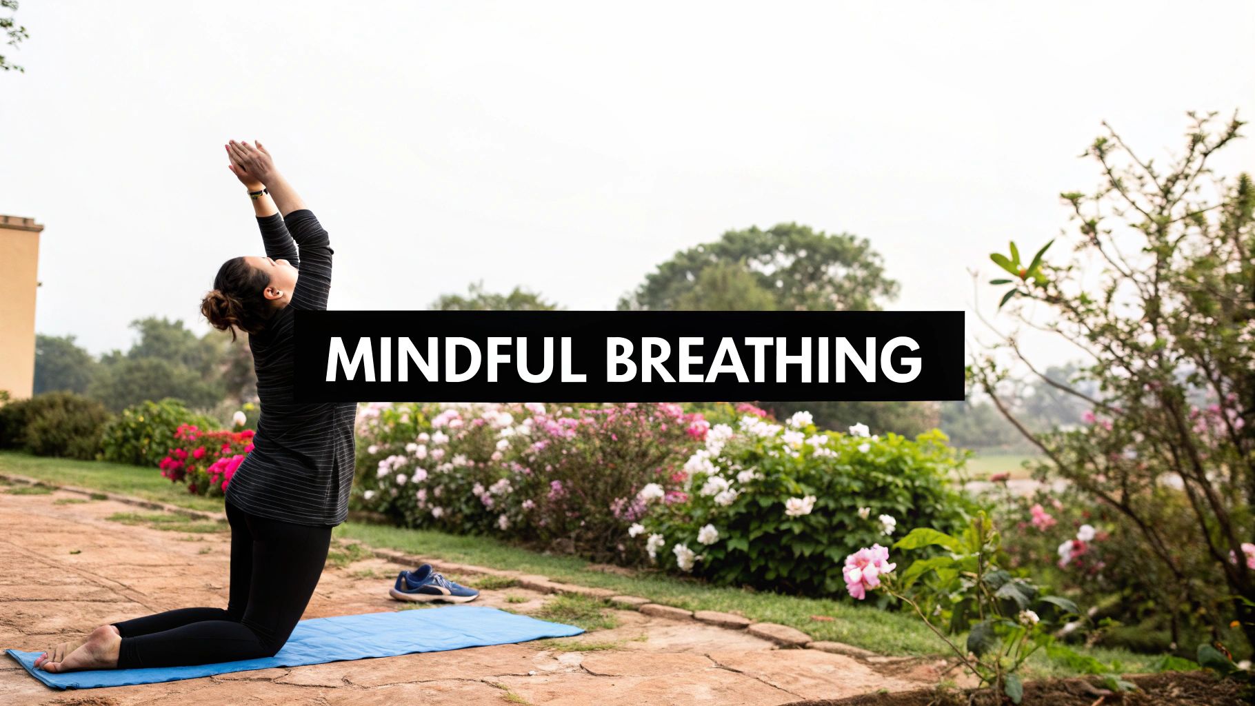 Harnessing Traditional Chinese Medicine for Better Sleep