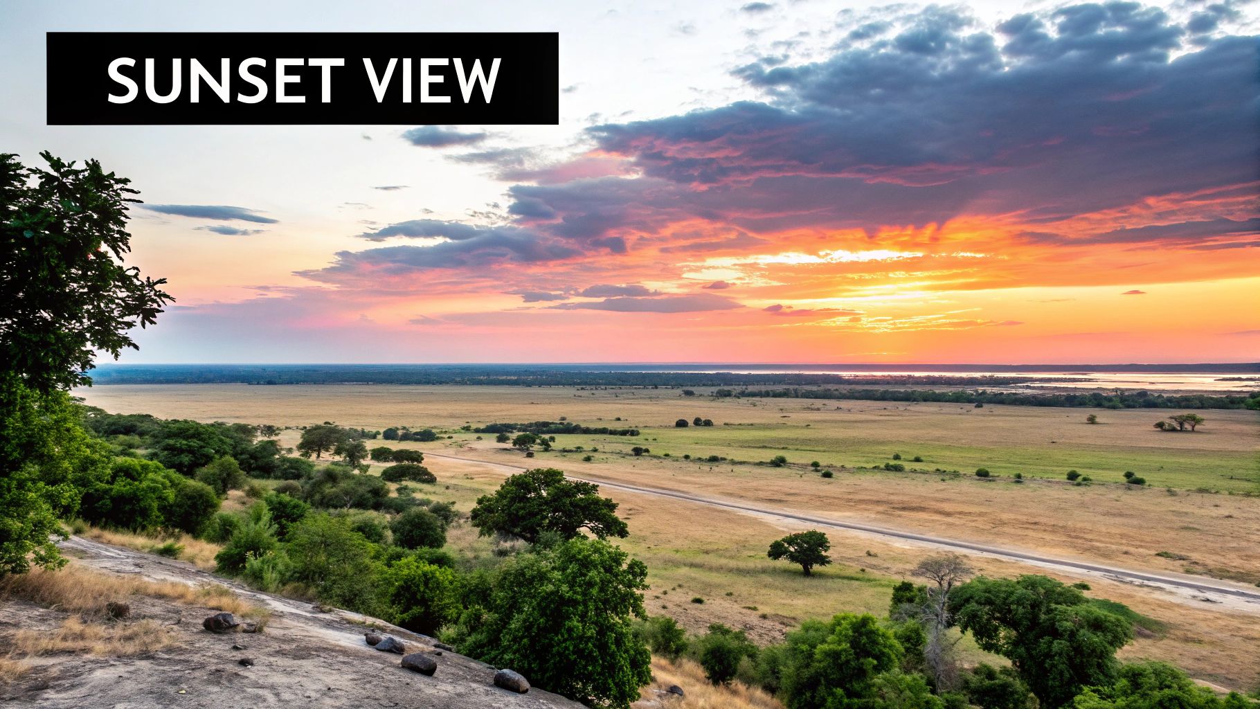 Chobe Wildlife