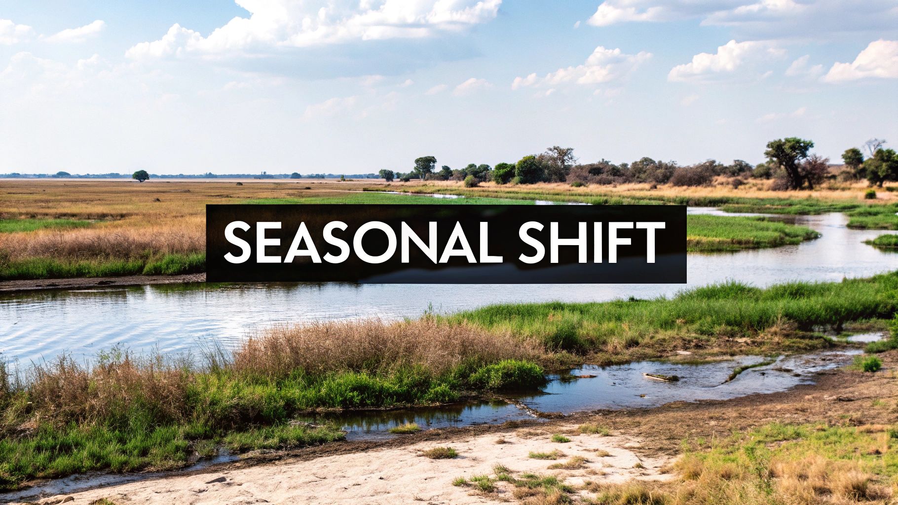 Okavango Delta Dry Season
