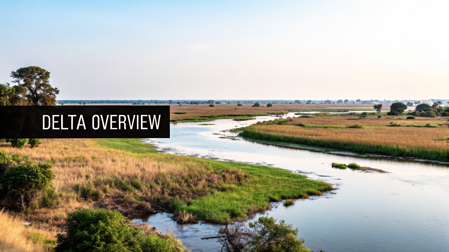 Okavango Delta