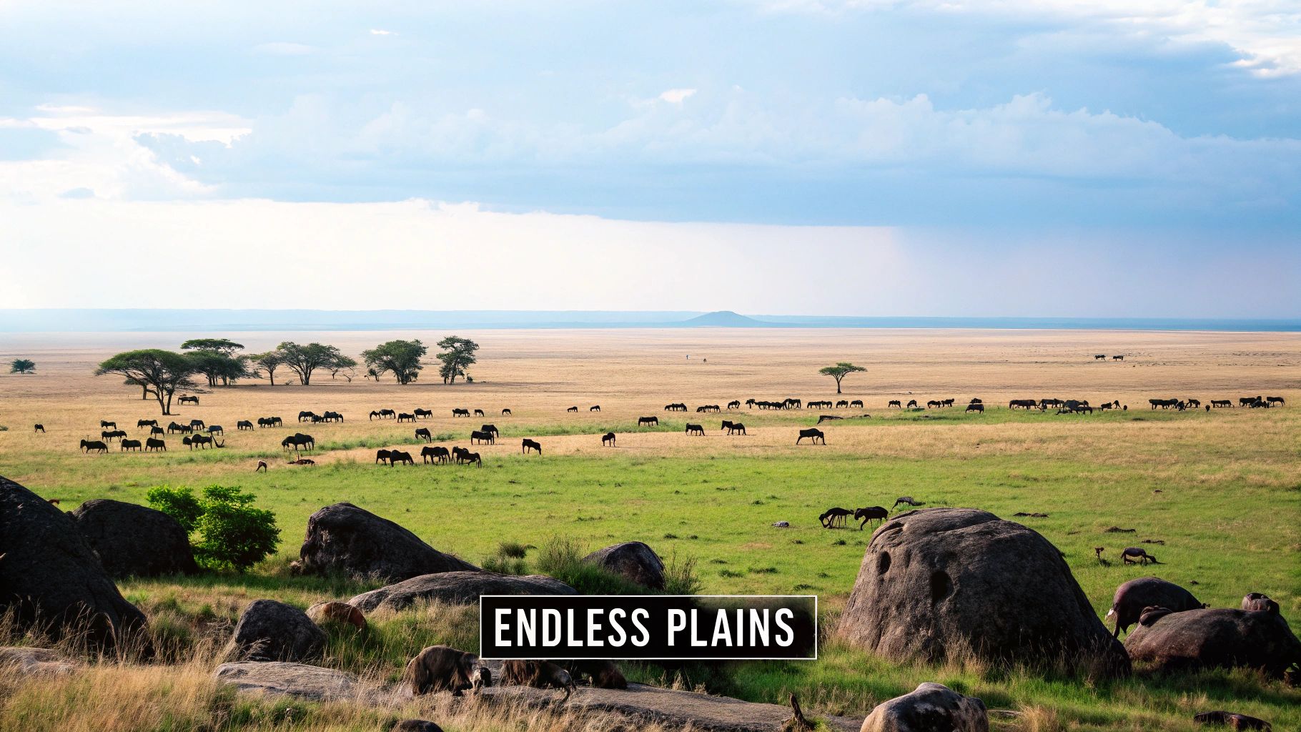 Serengeti National Park, Tanzania