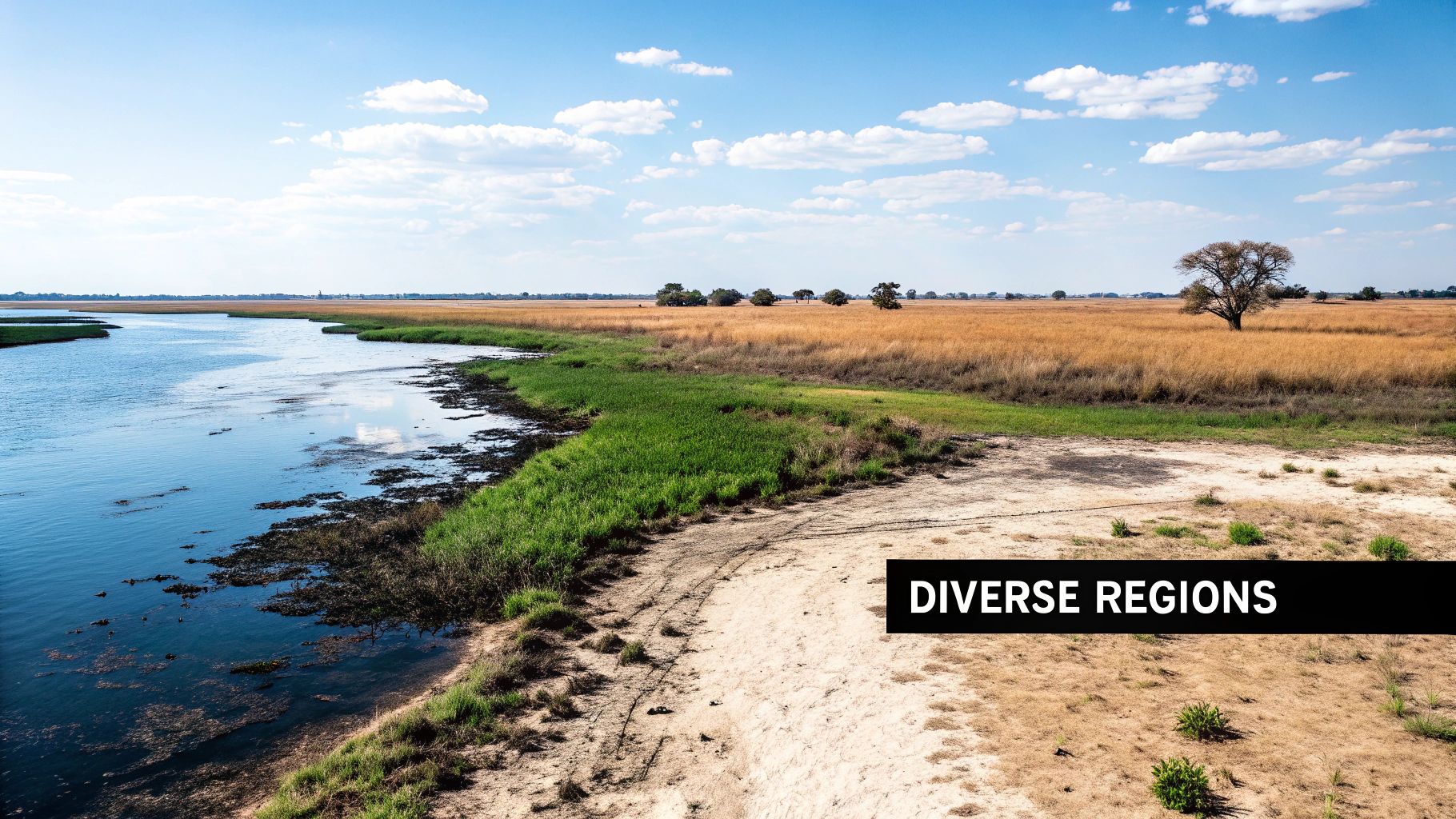 Choosing the Right Safari Regions
