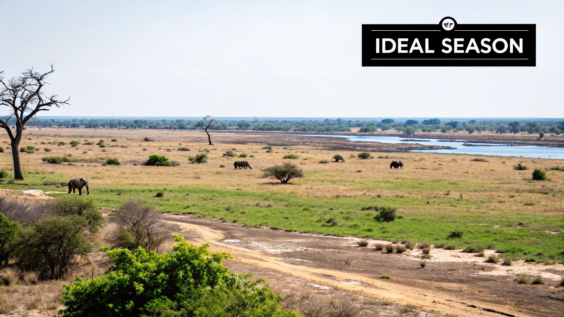 Best Time to Visit Botswana