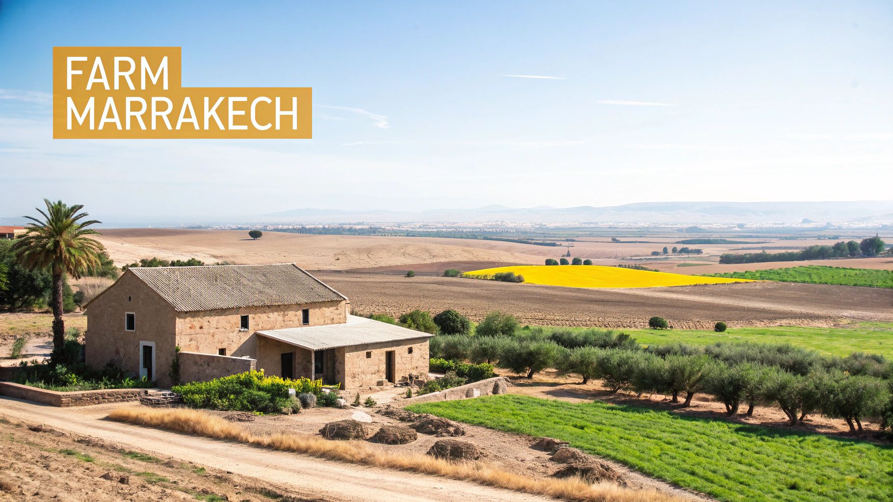 A luxurious pool surrounded by palm trees at The Farm Marrakech