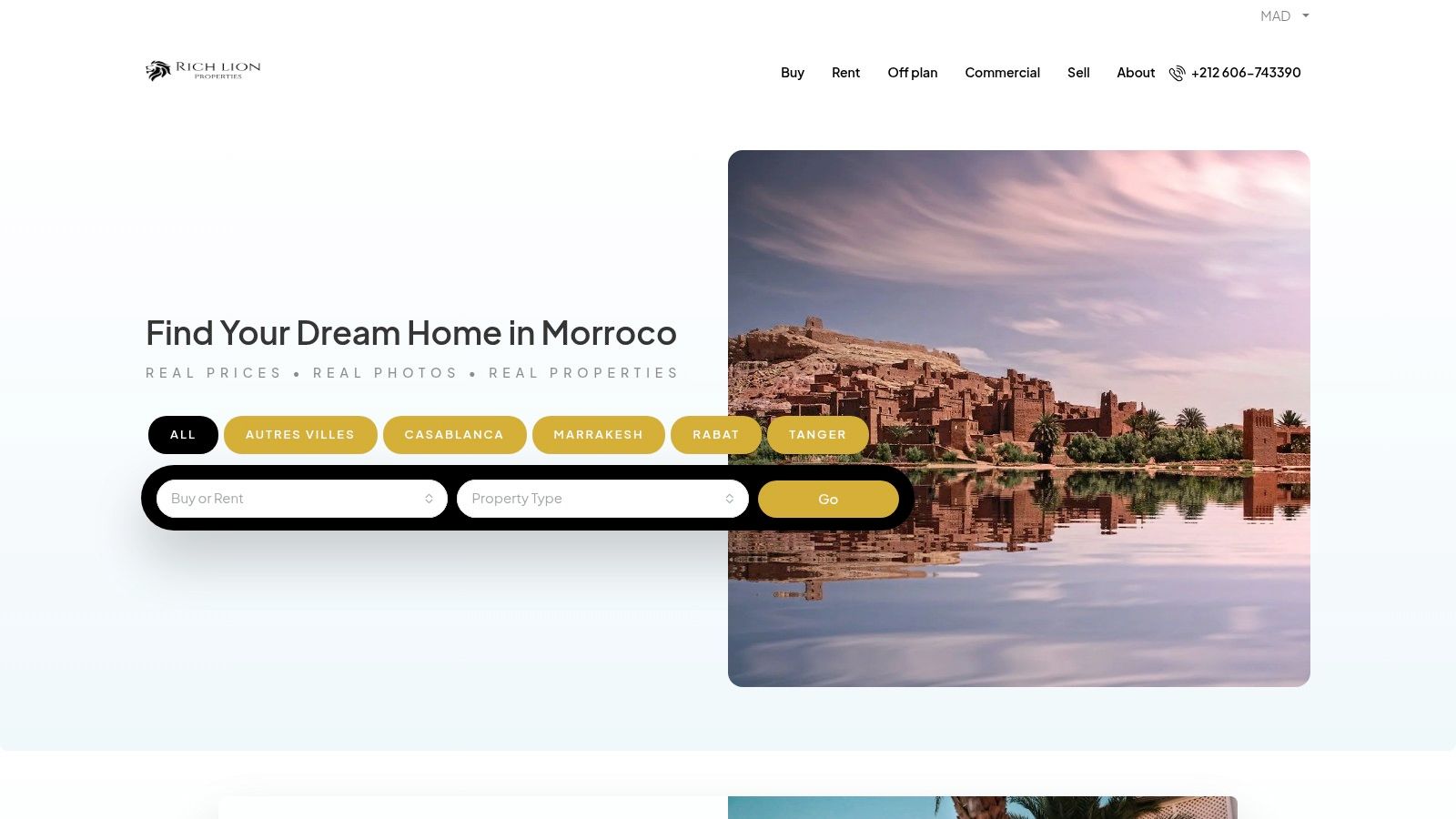 Rich Lion Properties