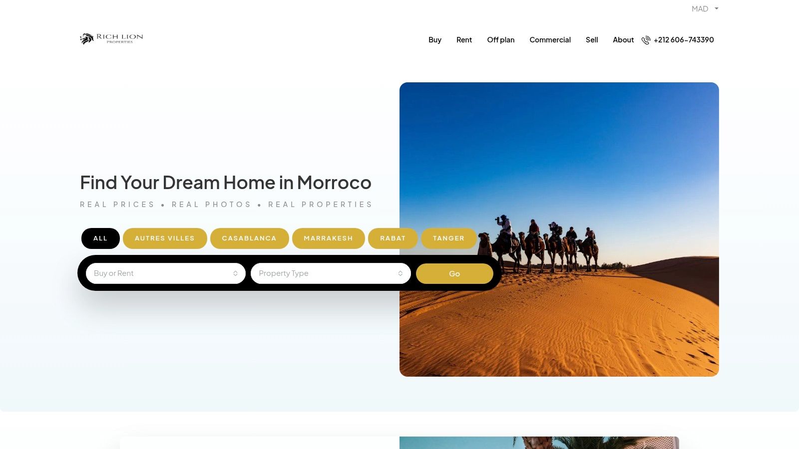 Rich Lion Properties