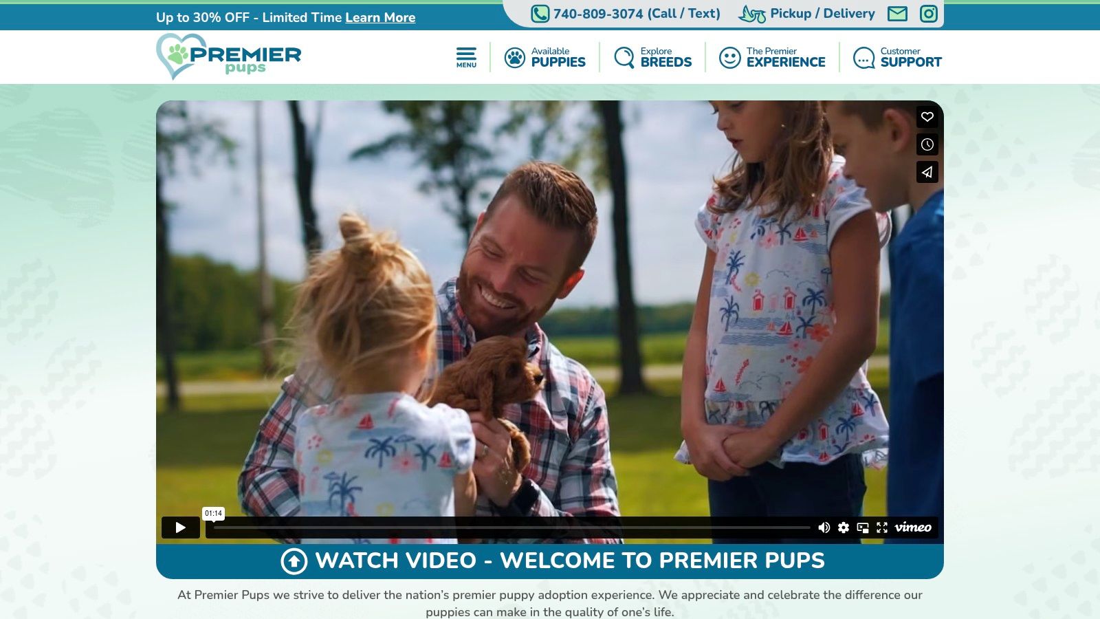 Premier Pups - Teacup Yorkie Specialists