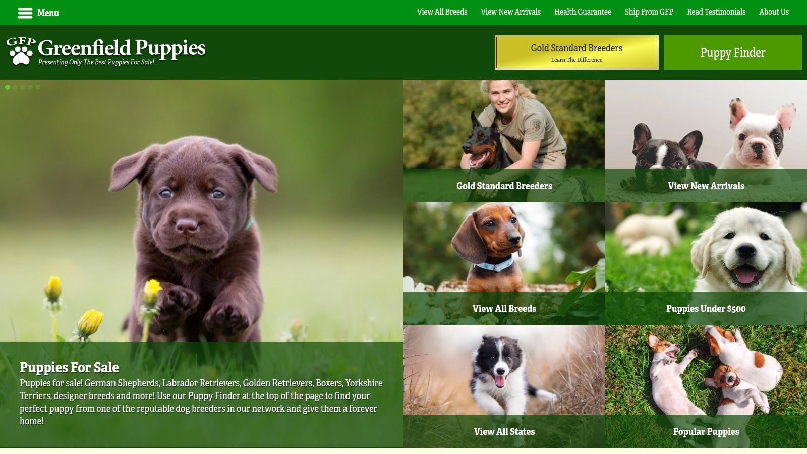 Greenfield Puppies - Teacup Yorkie Listings