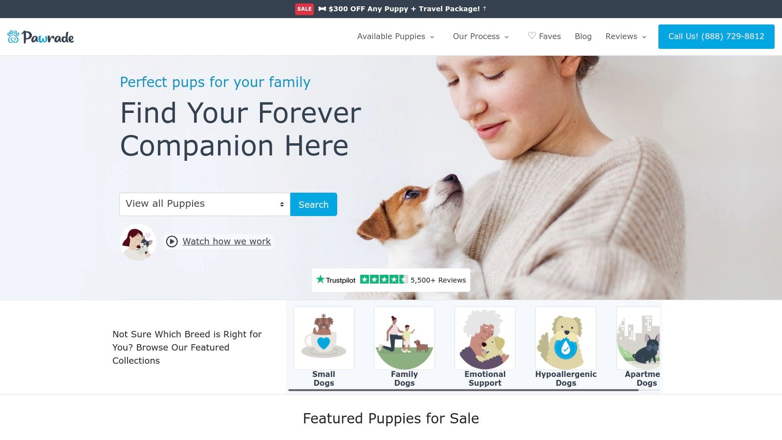 NextDayPets - Teacup Yorkie Listings