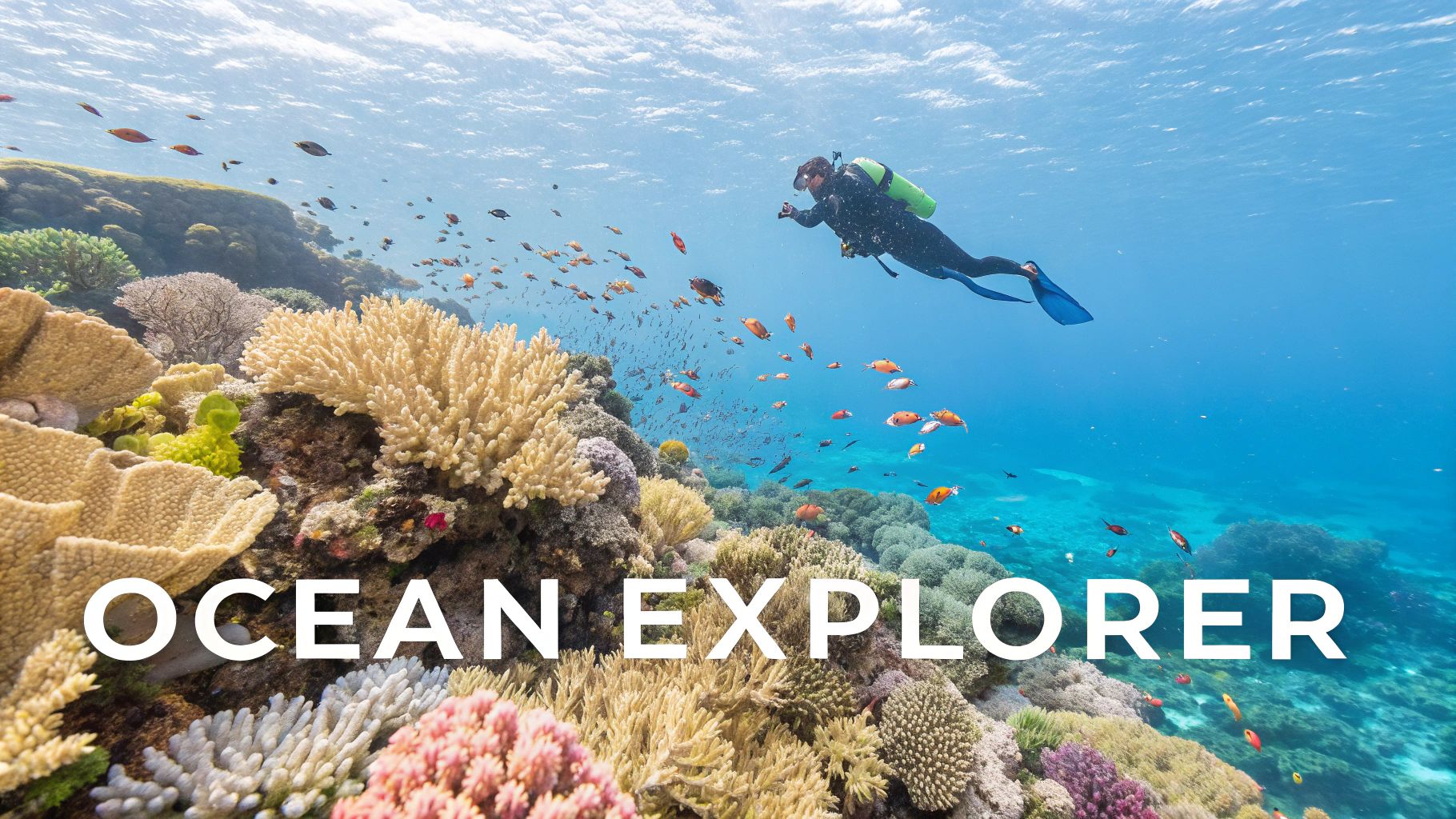 Sombrero Reef Marine Life