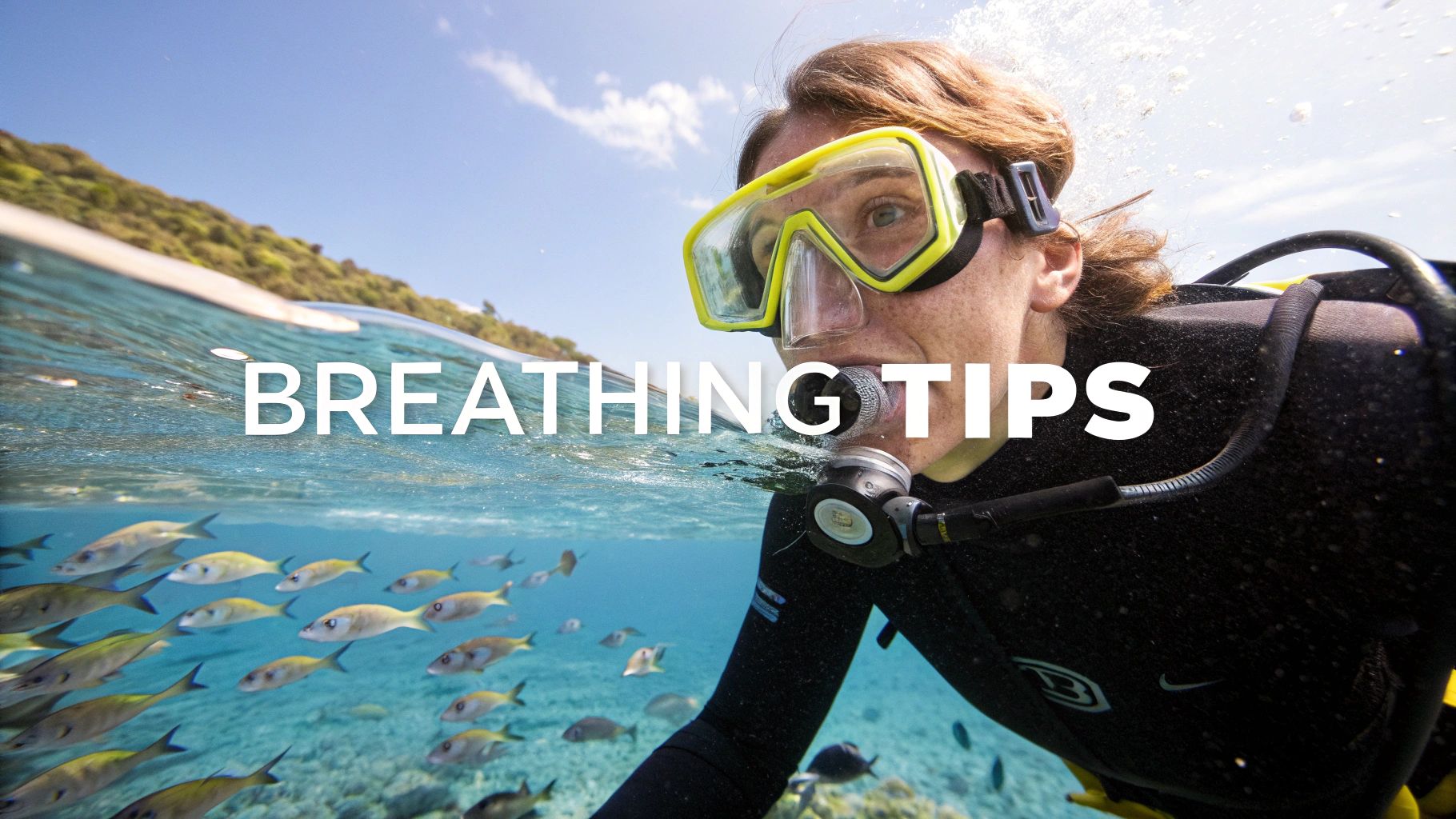 Traditional vs. Full-Face Snorkel Masks