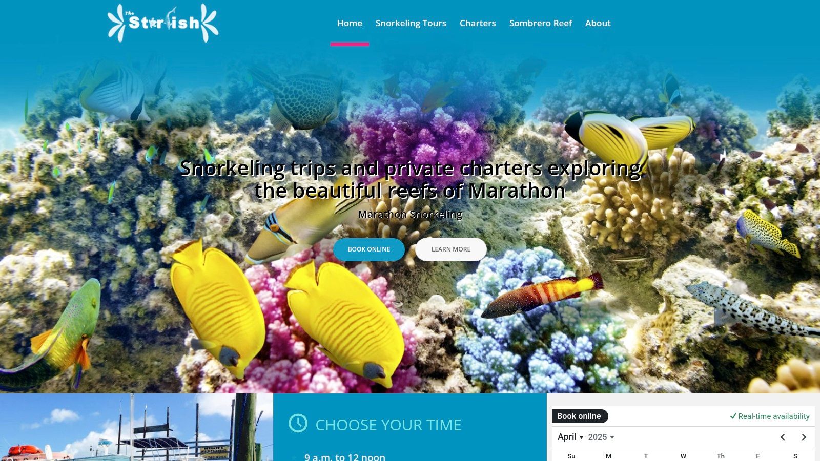 Starfish Snorkeling Adventures