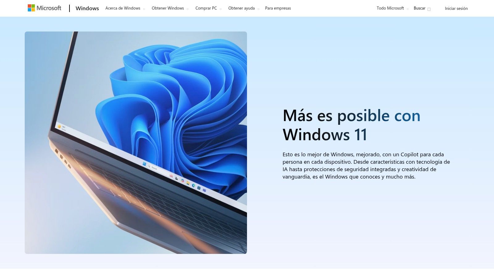 Windows 11
