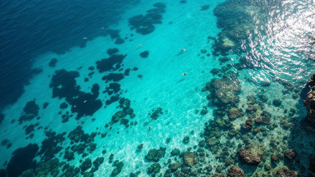 Kealakekua Bay: Snorkel, Dive, and Discover History