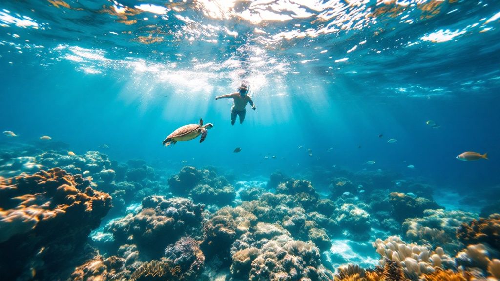 Captain Cook Snorkeling Kona: Dive Into Adventure
