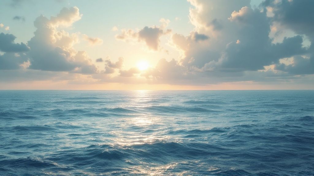 Blue Ocean Strategy
