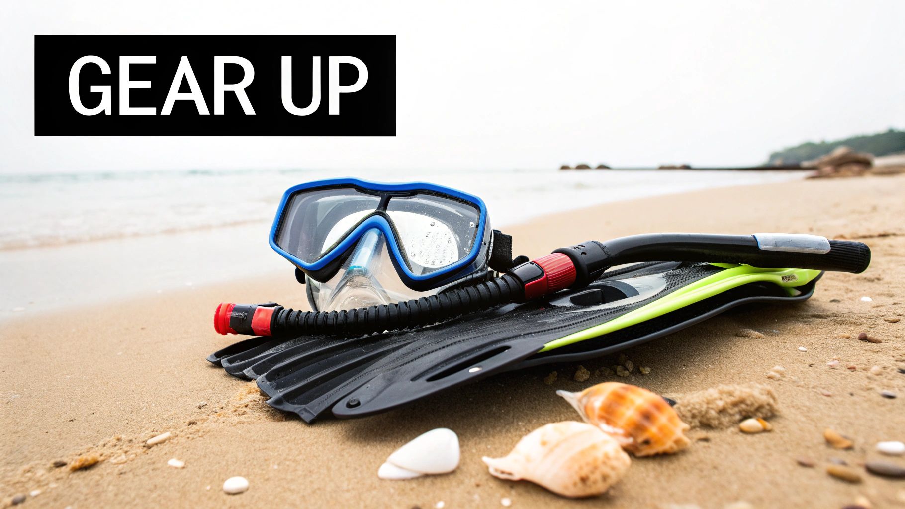 Choose the Right Snorkeling Gear