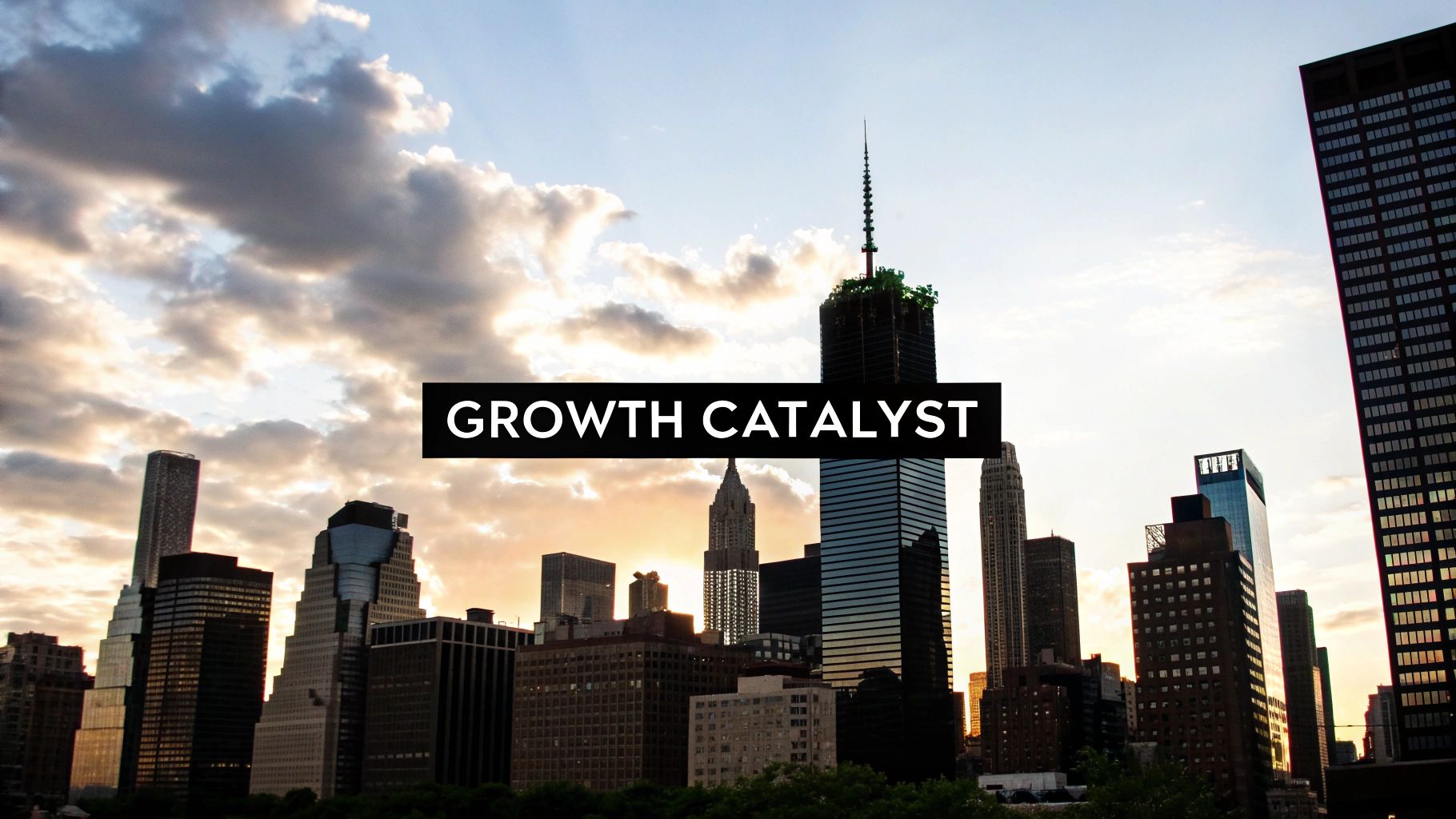 The Growth Catalyst