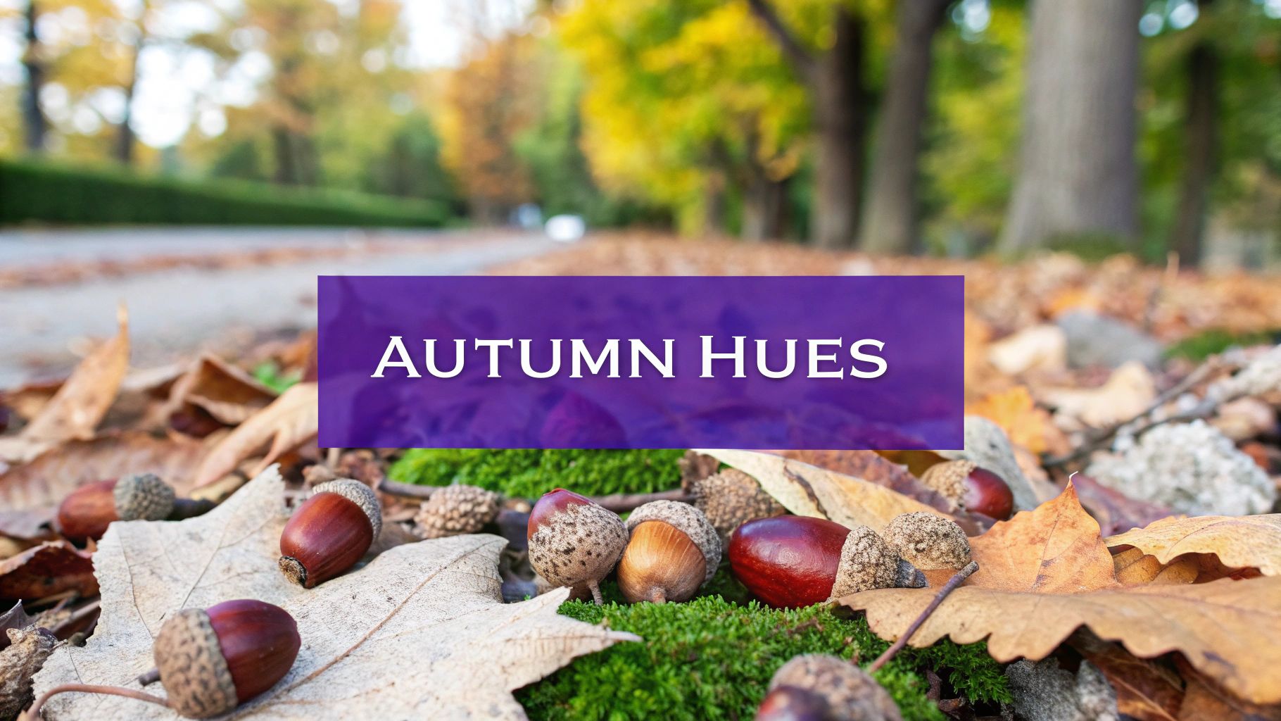 Deep Autumn Color Palette: 7 Must-Have Hues