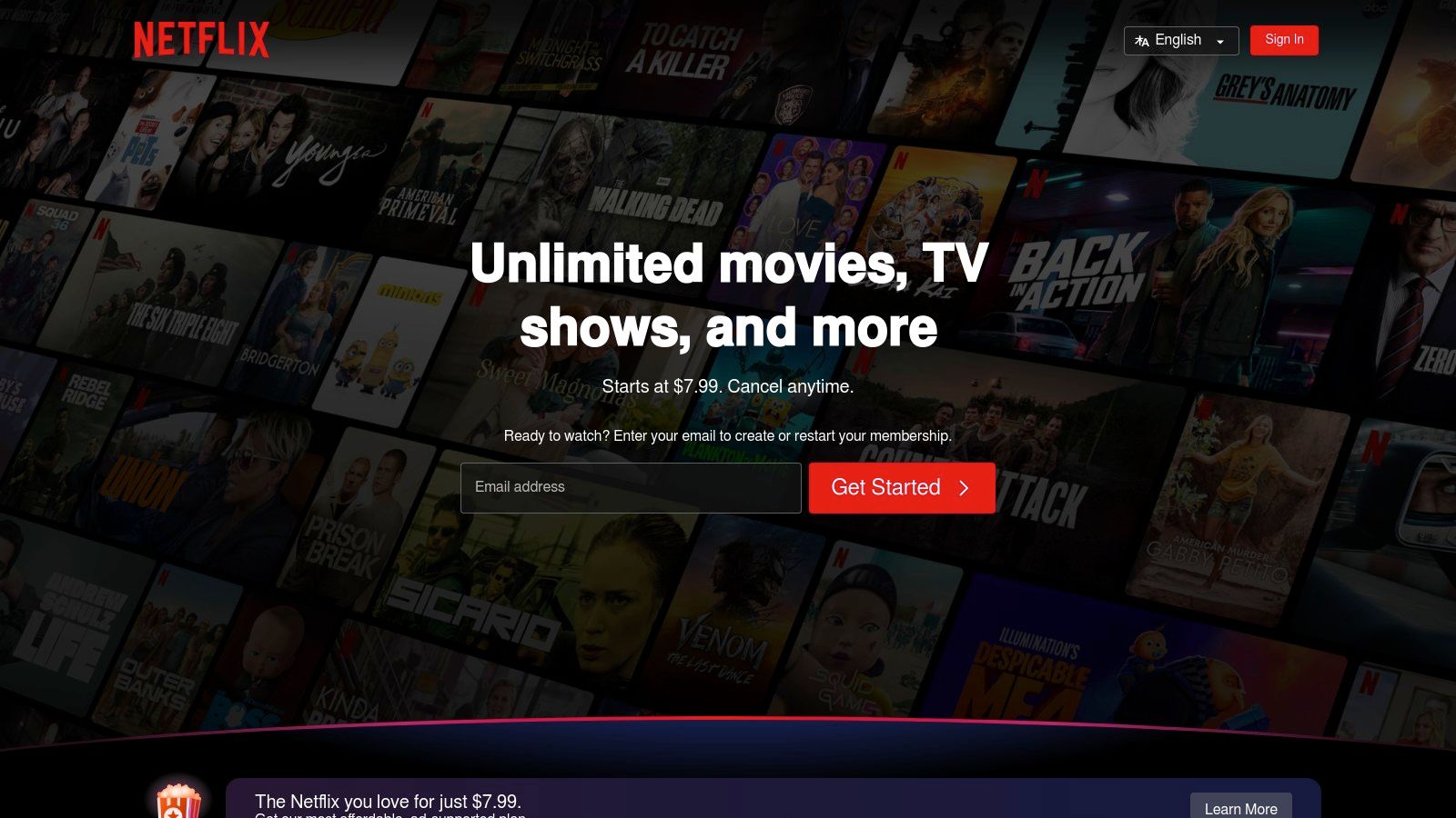 Netflix Turkey/Argentina VPN Method