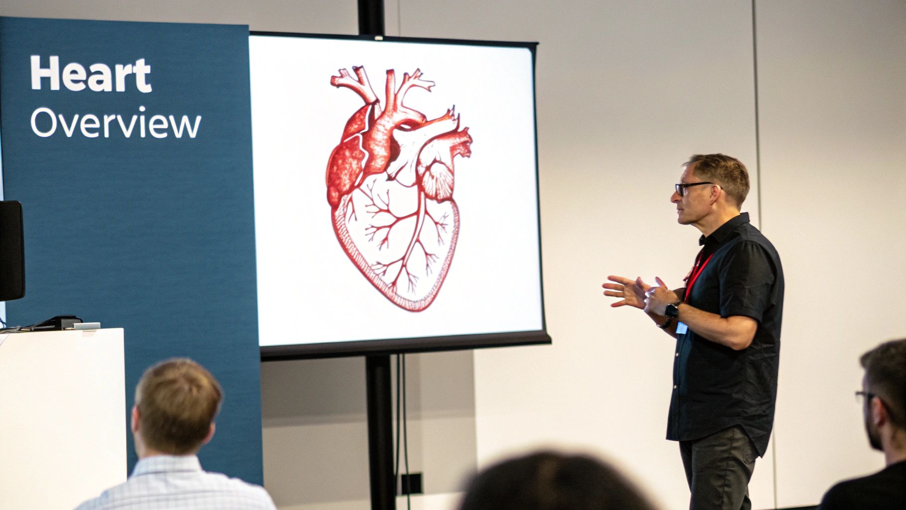 AI-powered heart segmentation