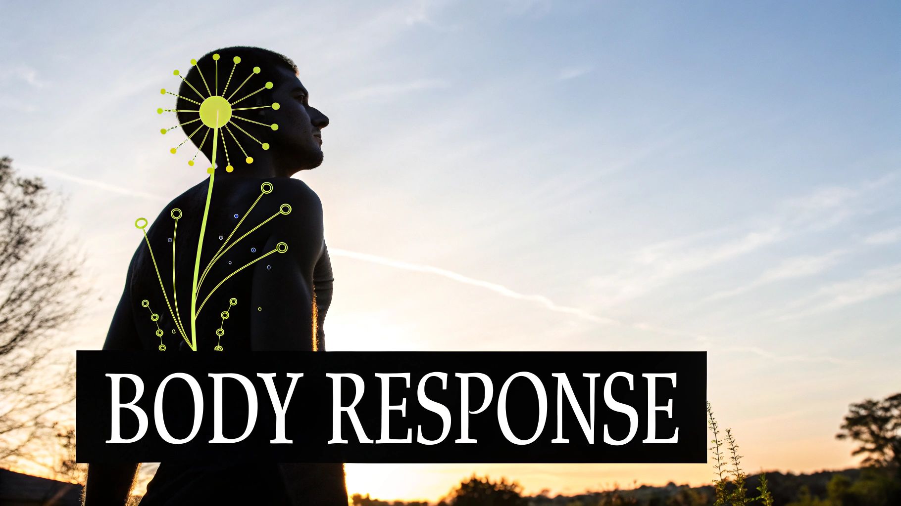 Seasonal Testosterone