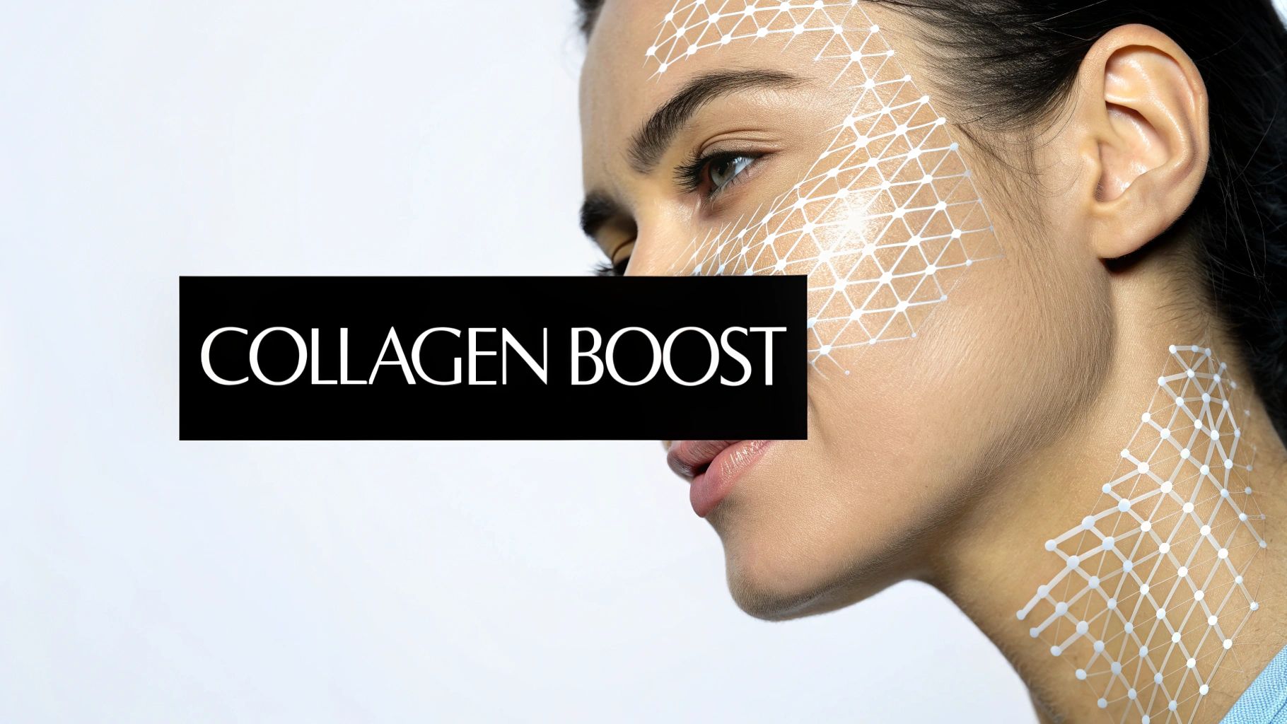 Enhanced Collagen Production