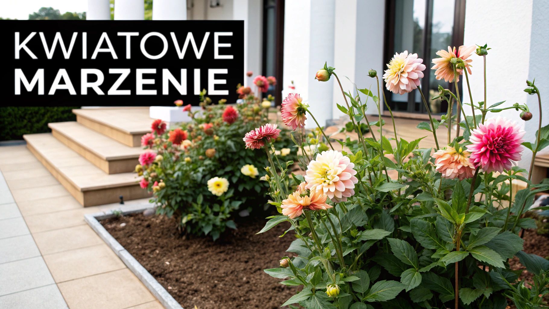 Tort z żywych kwiatów